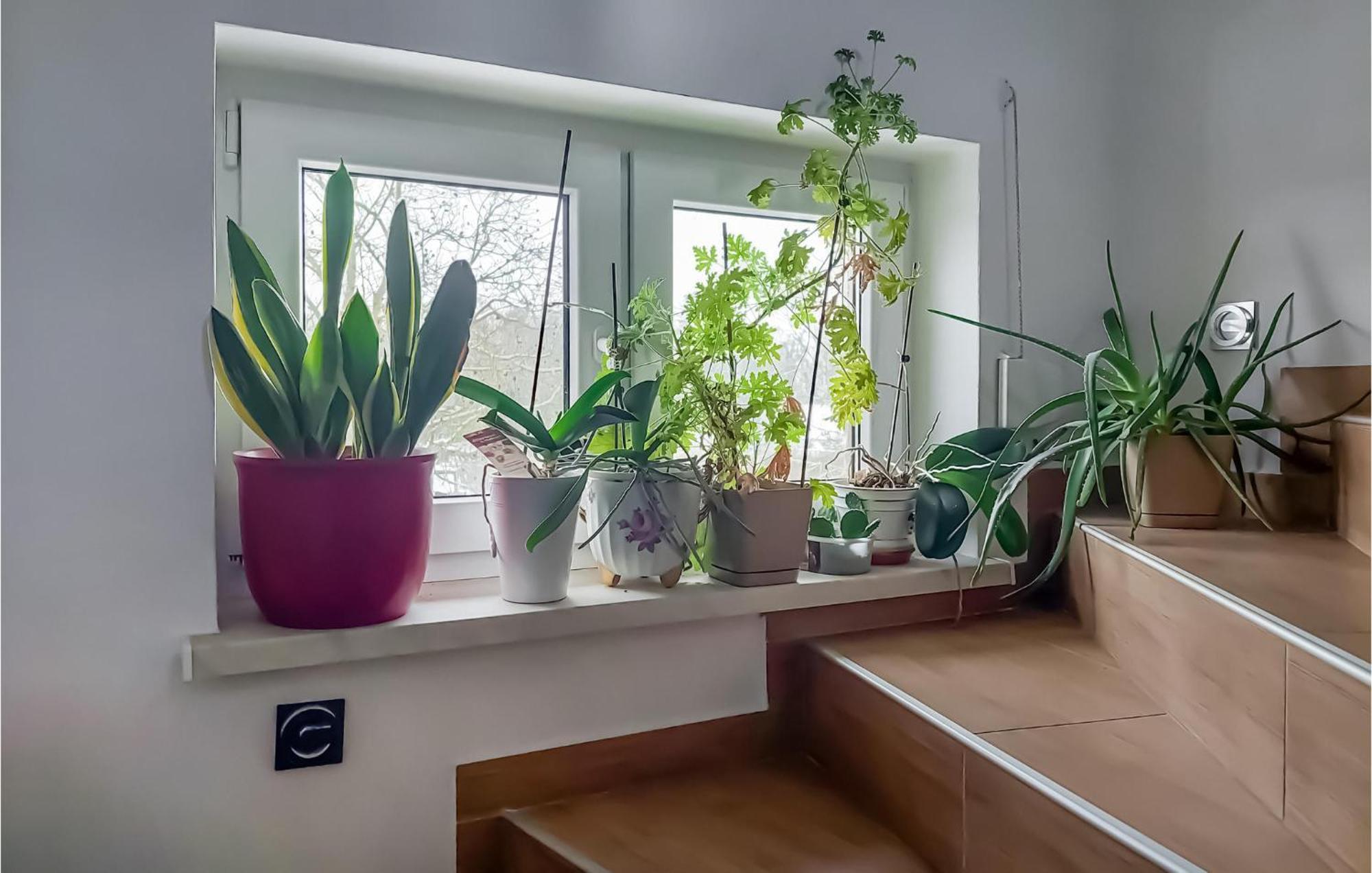 Beautiful Apartment In Moryn With Kitchen Екстериор снимка